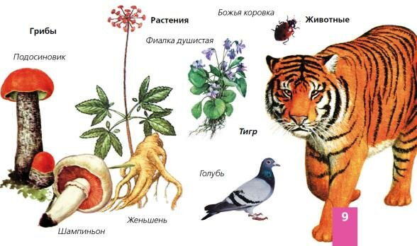 Учебник по биологии